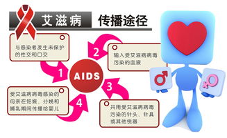 艾滋病研究进程