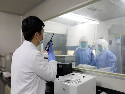 艾滋病病毒研究在几级实验室